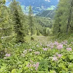 Rosa Patergassen