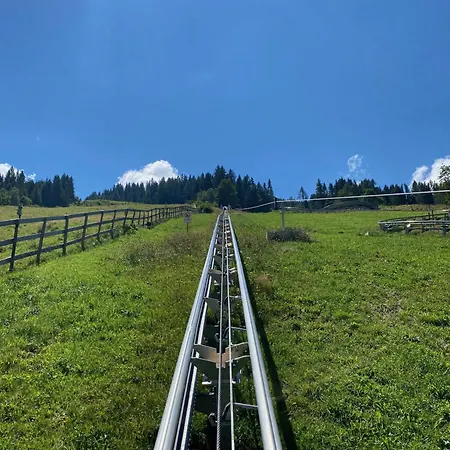 Rosa Apartment Patergassen